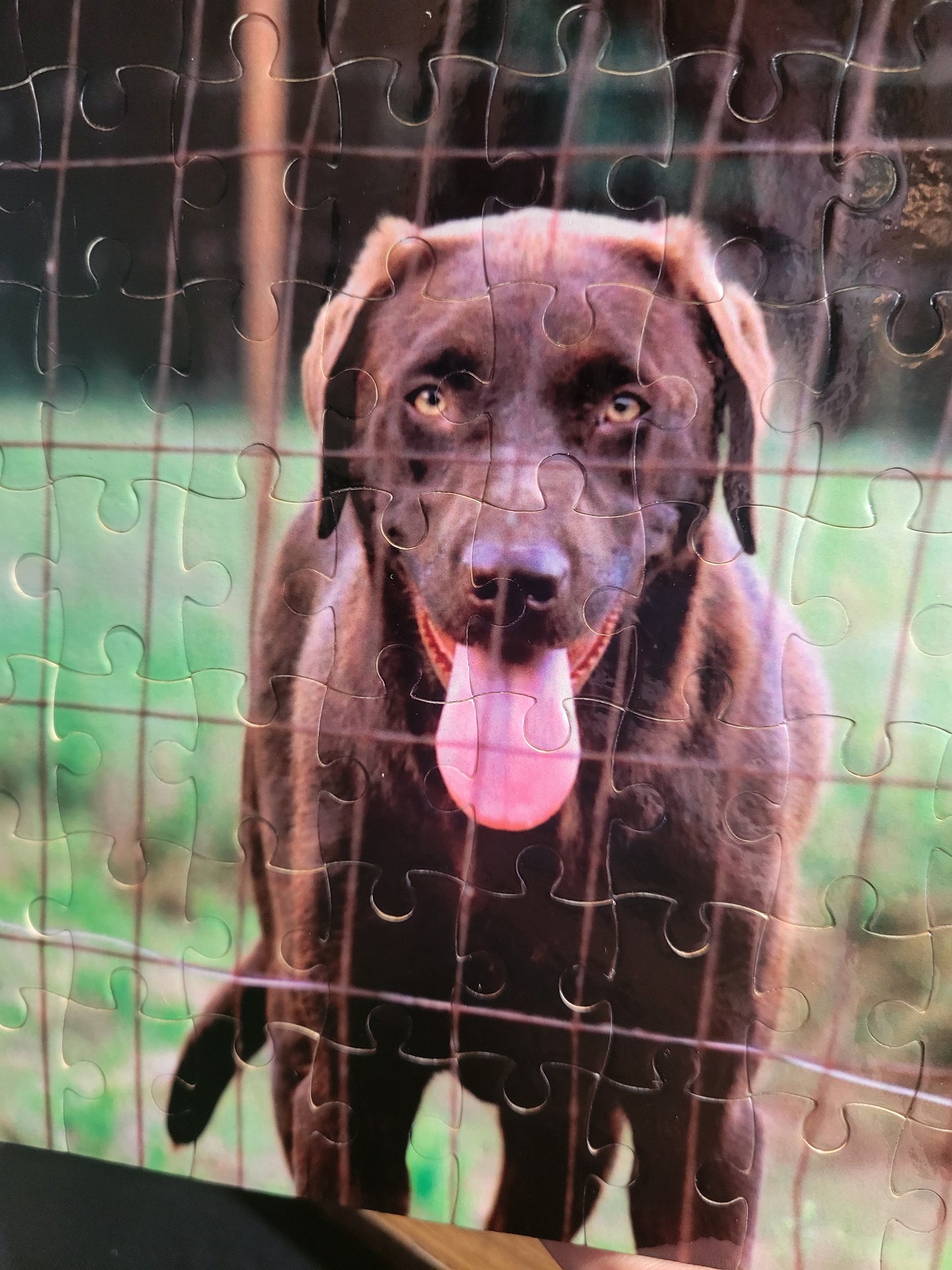 Custom Printed Puzzle