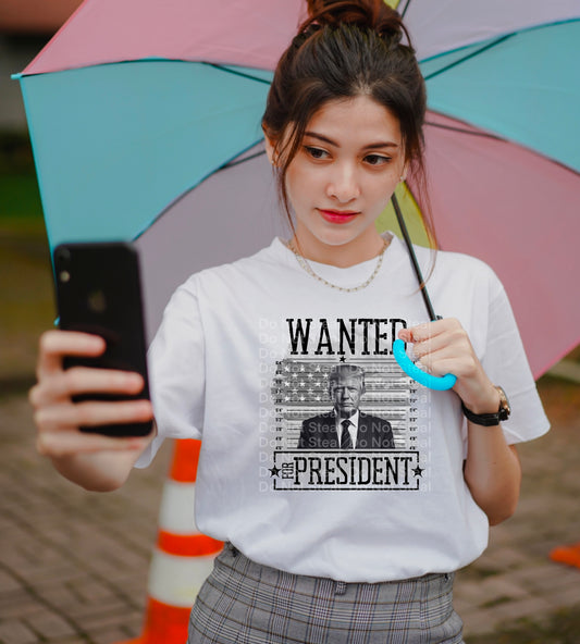 Wanted for President 2024